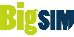 BIGSIM